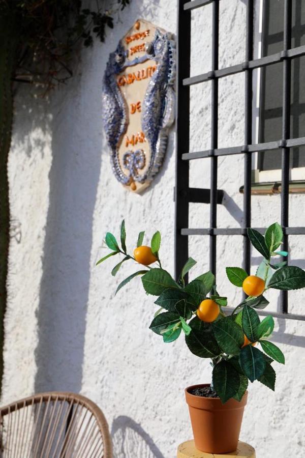 Casa Caballito De Mar Boutique B&B Bédar Buitenkant foto