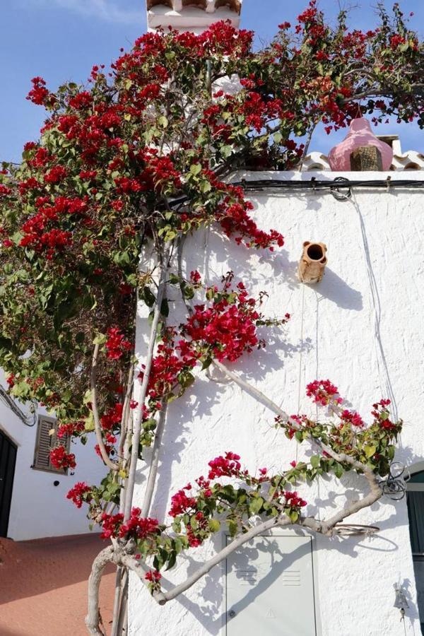 Casa Caballito De Mar Boutique B&B Bédar Buitenkant foto