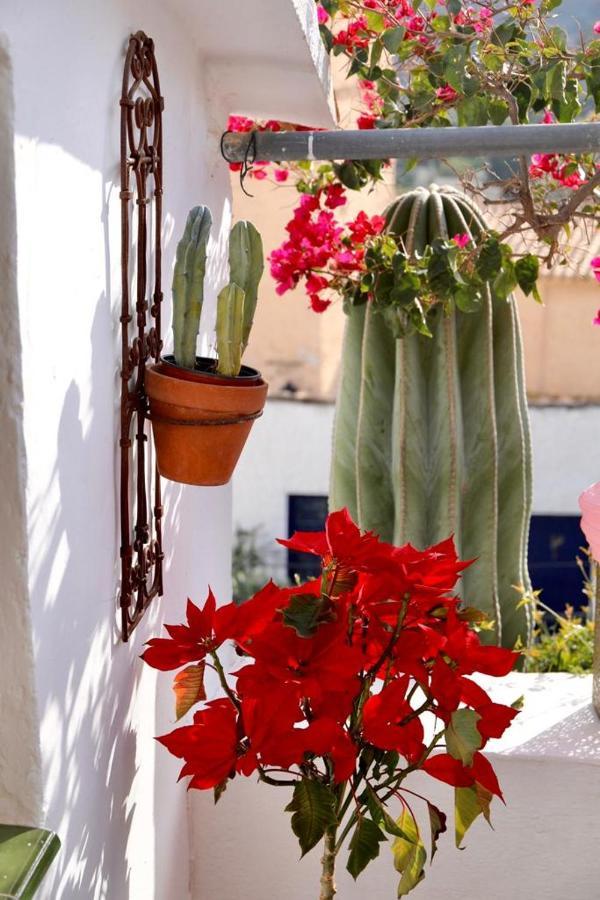 Casa Caballito De Mar Boutique B&B Bédar Buitenkant foto